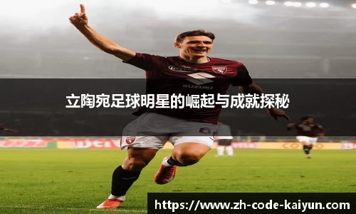 立陶宛足球明星的崛起与成就探秘